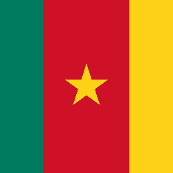 Bandera de Camerún