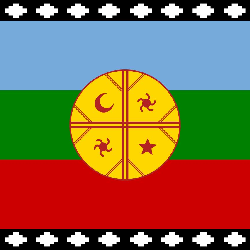 Bandera de Mapuche